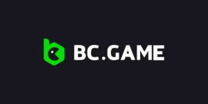 Best No KYC Crypto Casinos 2026 (Fast & Anonymous) bc game